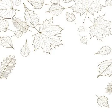 Autumn leaf skeletons template. Stock Illustration