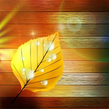 Autumn Leaf template. plus EPS10 Illustrazione stock