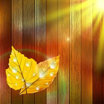 Autumn Leaf template. plus EPS10 Illustrazione stock