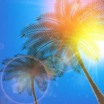 Autumn Leaf template. plus EPS10 Stock Illustration