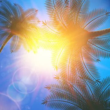 Autumn Leaf template. plus EPS10 Stock Illustration