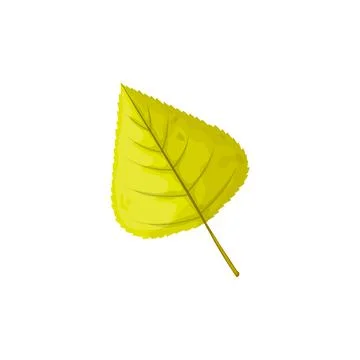 Autumn leaf, tree foliage fall, green leaves icon Stock Illustration
