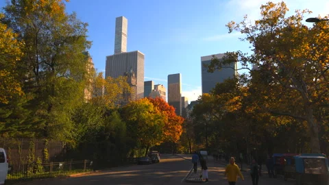 Autumn leaf turn red at Central Park in front of Manhattan skyscraper NYC Stock Footage 220693317