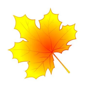 Autumn leaf vector Stock Illustration