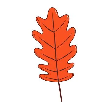 Autumn leaf. Vector illustration in hand drawn style Stock Illustration