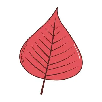 Autumn leaf. Vector illustration in hand drawn style Stock Illustration