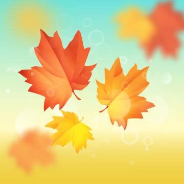 Autumn leaf vector illustration. Hello autumn Stock Illustration