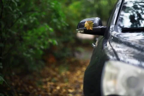 Autumn leaf on the windshield of a car under the brush, against the backdro.. Stock Photos