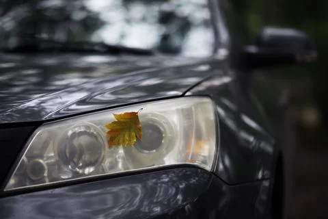Autumn leaf on the windshield of a car under the brush, against the backdro.. Stock Photos