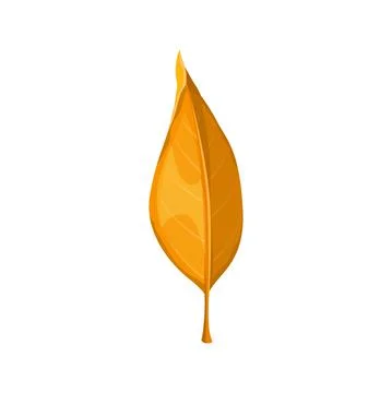 Autumn leaf yellow, fall isolated orange leaves Stock Illustration