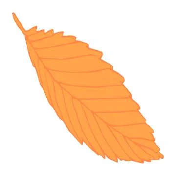 Autumn leaf yellow isolated vector for design Stock Illustration
