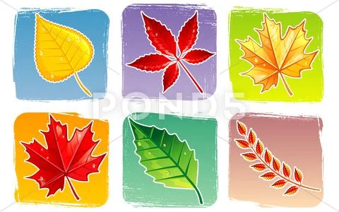 Autumn leafs back Stock Illustration