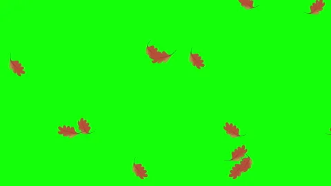 Autumn leafs falling animation Stock Footage 251034463