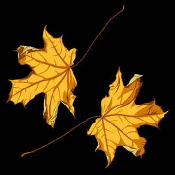 Autumn leafs Stock Illustration