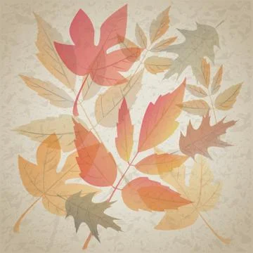 Autumn leafs Stock Illustration