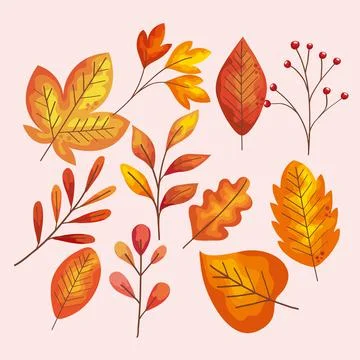 Autumn leafs pattern 스톡 일러스트