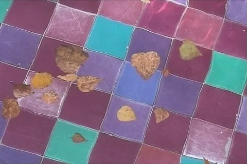 Autumn leafs in pool Stock Footage 109306