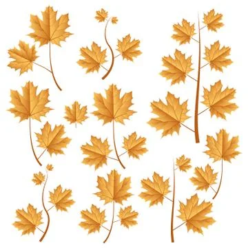 Autumn leafs set Stock Illustration
