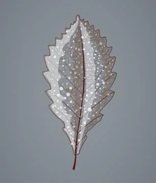 Autumn leafs silhouette. Stock Illustration
