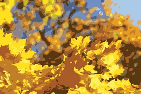 Autumn leafs on the tree Foto stock