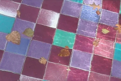Autumn leafs in water Stock Footage 104987