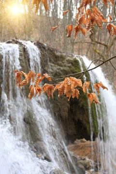 Autumn leafs on waterfall background Stock Photos