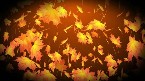 Autumn Leaves 2 Stock Footage 41384519