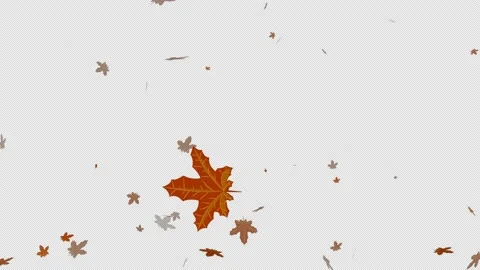 Autumn leaves 4K Stock Footage 159720529