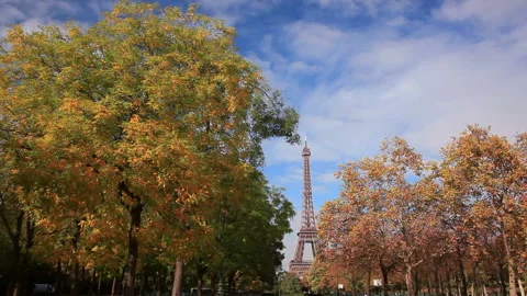 Autumn Leaves and the Eiffel Tower Stock Footage 332451011