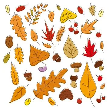 Autumn Leaves and Forest Elements Set Stock Illustration
