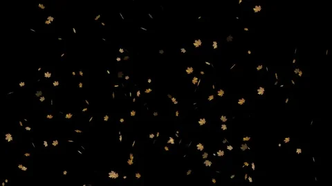 Autumn leaves are falling down Stock Footage 102765893