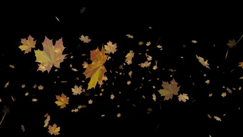Autumn leaves background Stock Footage 102765704