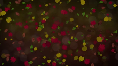 Autumn Leaves Background Video stock 161798556