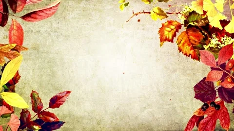 Autumn Leaves Background Stock Footage 247861977