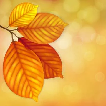 Autumn leaves background Stock Illustration