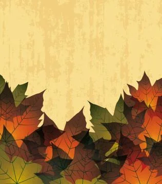 Autumn leaves in the background Stock Illustration