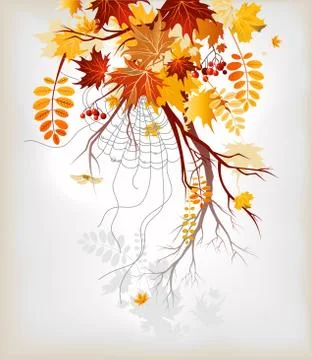 Autumn leaves background Stock Illustration