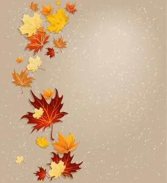 Autumn leaves background Stock Illustration