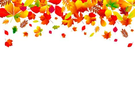 Autumn leaves background Stock Illustration