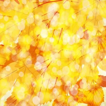 Autumn leaves background Stock Illustration