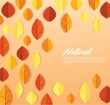 Autumn leaves background vector Stock Illustration