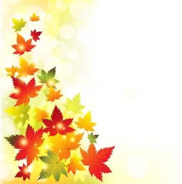 Autumn leaves background.Vector Illustrazione stock