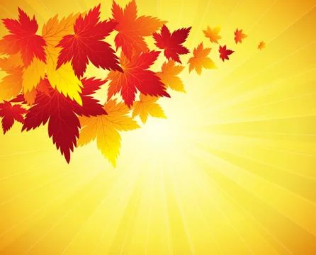 Autumn leaves background.Vector Stock Illustration