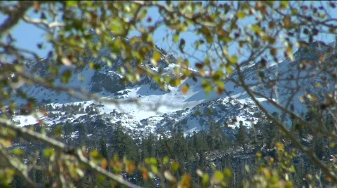 Autumn Leaves Bathed in Sun/Shadow with Snow-Capped Mountains Stock Footage