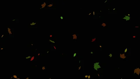 Autumn leaves being blown from left to right by the wind. Stock Footage 147984620