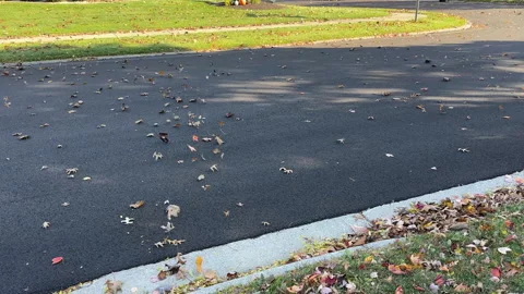 Autumn leaves being blown over a residential street Stock Footage 322644002
