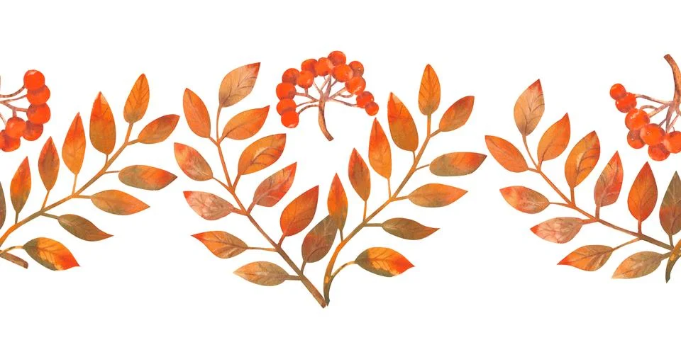 Autumn leaves, berry. Repeating the summer horizontal border. Flower watercolor Ilustração Stock
