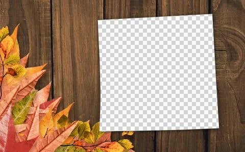 Autumn leaves with blank paper on table Ilustração Stock