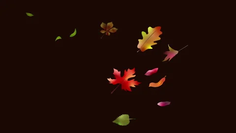 Autumn leaves blowing in the wind gust Stock Footage 341593833