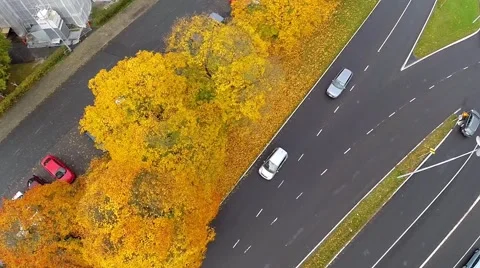 Autumn leaves, cars driving, drone footage Video stock 59597039